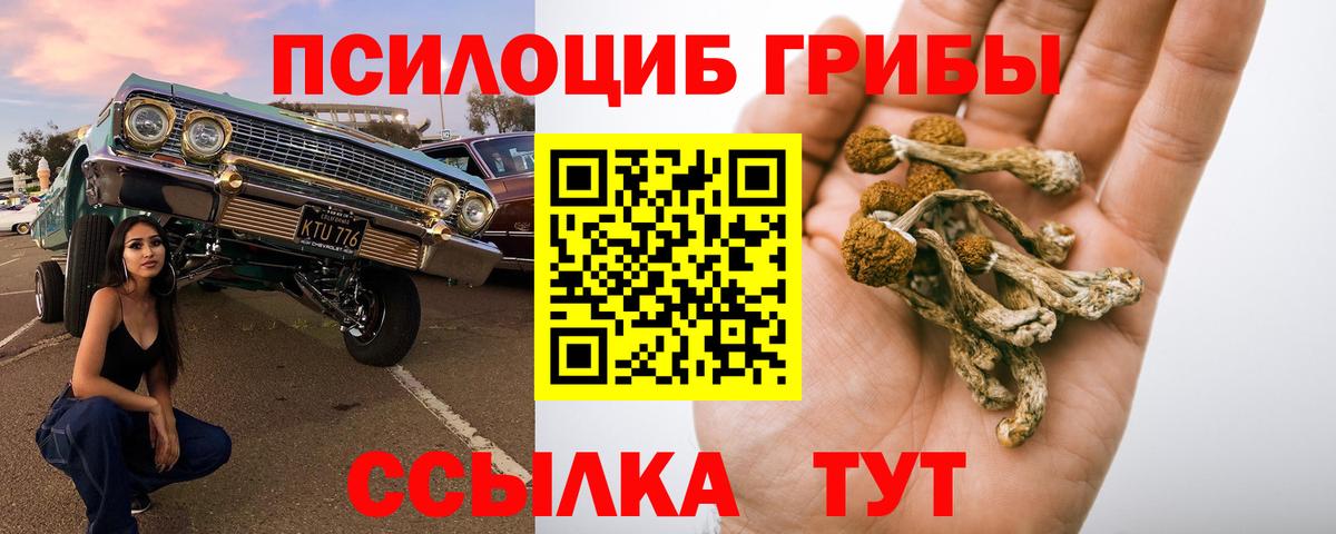Псилоцибиновые грибы мухоморы Новочебоксарск