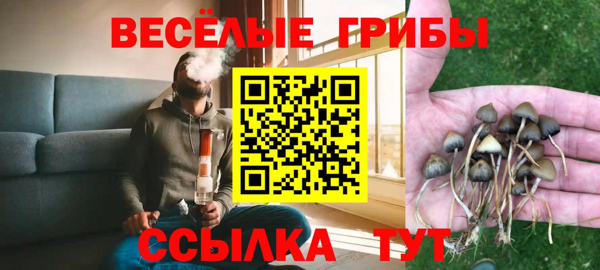 Новочебоксарск  купить наркотики сайты  Вход с VPN  Псилоцибиновые грибы MAGIC MUSHROOMS 
